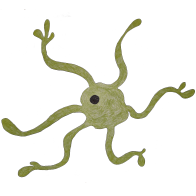 Telodendria